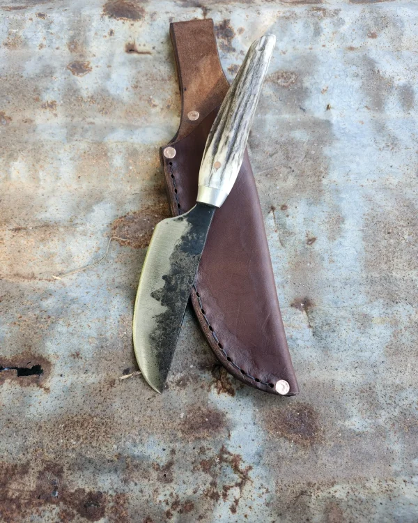 Antler Handle Skinner